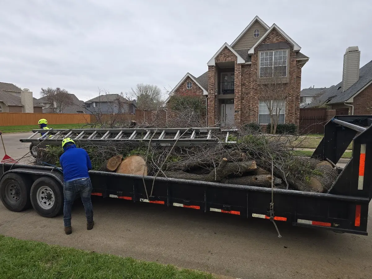 Expert Lot Clearing with proper safety equipment in Godwin